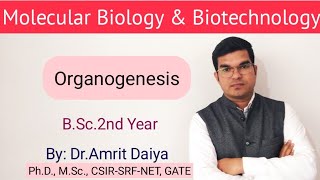 Organogenesis in PTC Hindi amp English By DrAmrit Daiya [upl. by Attenad]