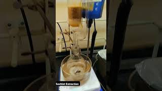 Soxhlet Extraction Experiment [upl. by Nerty759]