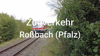 Zugverkehr 110  Roßbach Pfalz [upl. by Bradley887]