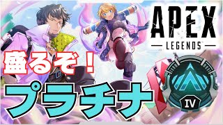 【APEX】 現在プラチナ４ ３日ぶりのランクなので溶かさないようにがんばる！ 【APEX LEGENDS】 [upl. by Ednil]