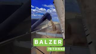 BALZER CHASER BIN UNLOADING AUSTRALIA [upl. by Market]