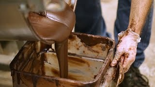 How Chocolate is Made [upl. by Soneson]