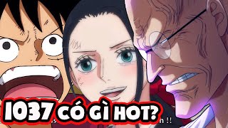 One Piece Chapter 1037 Có Gì HOT CP0  Ngũ Lão Tinh amp Những Tiết Lộ Sốc [upl. by Mirabel]