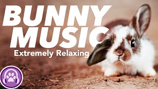 Music for Rabbits Soothing Pet Sounds to Relax Your Rabbit FAST 🐰 [upl. by Barbabra]