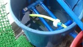 Homemade Aquaponics Biofilter [upl. by Benji]