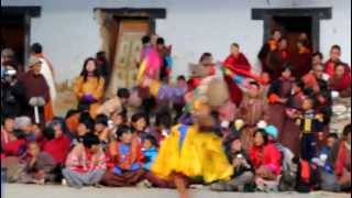 Blacknecked Crane Festival in Bhutan by Seth Masarik [upl. by Notlef]