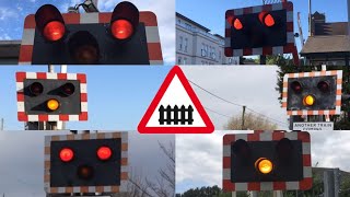 UK Level Crossings In The SouthEast 2016 [upl. by Apurk]