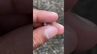 White Sapphire 405 ct sapphire srilanka india gemstone [upl. by Attegroeg322]