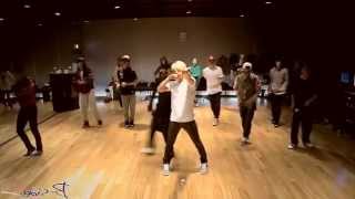 Big Bang  Fantastic Baby mirrored Dance Practice [upl. by Heyer999]