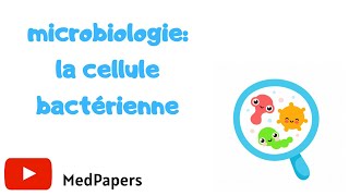 💡microbiologie la cellule bactériennecours numéro 1 [upl. by Htirehc335]