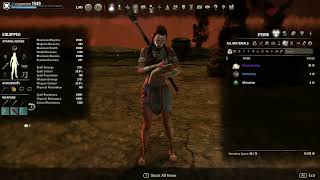 Eso PVP Stamsorc Gameplay And build [upl. by Aihsatsan295]