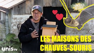 Les différentes maisons des chauvessouris [upl. by Dinerman631]