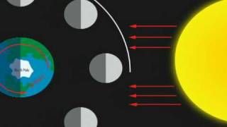 The Phases of the Moon [upl. by Felicity]