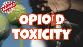 Opioids overdose and toxicity المخدرات الافيوناتشرح سموم [upl. by Hutchings481]