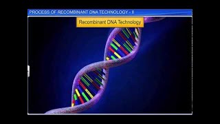 CBSE Class 12 Biology  Process of Recombinant DNA Technol  II [upl. by Aryn387]