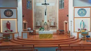 Catholic Mass for Friday of 22nd Week  6 Sept 2024  8am [upl. by Gordy964]