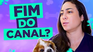 😭 DESABAFO SOBRE O CANAL E MINHAS CACHORRAS  Muito Difícil [upl. by Blase]