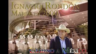 Ignacio Rondob Ft Alejandro Rondon x Mariachi 2000  Ironia Audio Oficial [upl. by Eirek891]