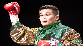 Brian Viloria  Highlights  Knockouts [upl. by Fechter971]