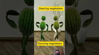 Watch These Dancing Vegetables Steal the Show A MustSee Trendquot [upl. by Kermit]