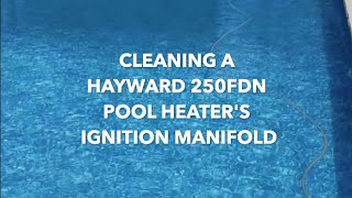 Cleaning a Hayward 250FDN Pool Heaters Ignition Manifold [upl. by Wildee]