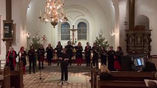 Psalm 428 Mitt i vintern var det med Stehags kyrkokör och församlingen i Bosarps kyrka 20221226 [upl. by Anilrac252]