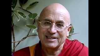 Matthieu Ricard  On Meat Eating in Tibetan Buddhism [upl. by Lib]