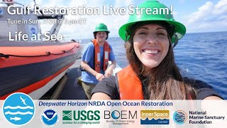 Gulf Restoration Livestream  Life at sea [upl. by Brathwaite99]