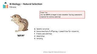 IBDP English A May 2024 Paper 1  Chat GPT  Sample Response [upl. by Nathalie769]