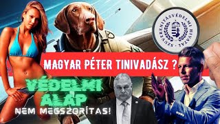 Magyar Péter tényleg Tinivadász 😱 Orbán ölne egy Nobelbékedíjért 🫣Heti Hírvadász4 🇭🇺🫡 [upl. by Awuhsoj841]