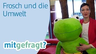 Fliesen reinigen mit Frosch Reiniger in BioQualität  dm mitgefragt Folge 43 [upl. by Hattie]