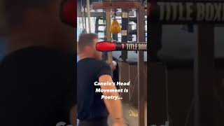 Canelos Head Movement is Amazing canelo caneloalvarez headmovement [upl. by Kassi]