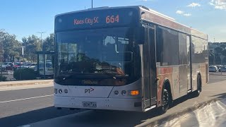 Ventura Lilydale 850 Volvo B7RLE  Volgren CR228L On Route 664 To Knox City [upl. by Inalaeham]