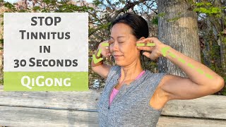 STOP TINNITUS IN 30 SECONDS  QIGONG  TCM [upl. by Kroy]