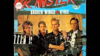 Mr Mister Broken Wings Ultrasound 12 Inch Long Version [upl. by Tnahsin816]