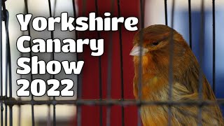 Yorkshire Canary Show 2023 [upl. by Greggs]