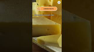 Cheese Facts shorts facts cheese [upl. by Ardna]