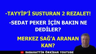 TAYYİPİ SUSTURAN 2 REZALETSEDAT PEKER İÇİN BAKIN NE DEDİLERMERKEZ SAĞA ARANAN KAN [upl. by Nitsrek75]