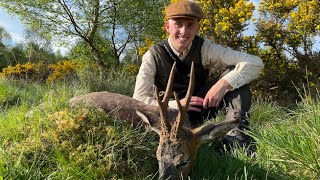 Bukkejagt i Skotland  Roebuck hunting in Scotland  Bockjagd in Schottland [upl. by Arakahs]