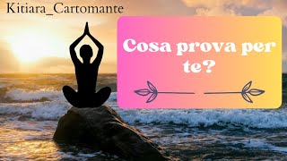 Cosa prova per te Tarocchi interattivi gratis amore [upl. by Omiseno110]