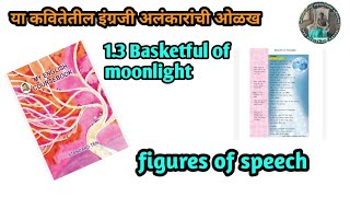 13 figures of speech in 13 Basketful of moonlight 10th std English [upl. by Lowndes]