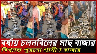 বর্ষায় চলনবিলের বিখ্যাত গ্রামীণ মাছের বাজার। বিলের দেশি মাছ। Village Market [upl. by Ester]