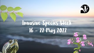 Invasive Species Week  Biosecurity [upl. by Yecram468]