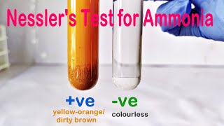 Nesslers Test Practical Experiment [upl. by Gerc]