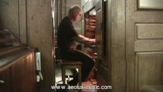 Bach Toccata d minor BWV 913 played by Ewald Kooiman [upl. by Laurance]