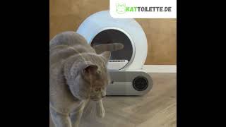 Die selbstreinigende Katzentoilette aus Deutschland 🐈 [upl. by Handel]