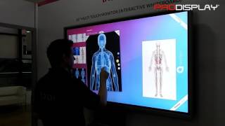 65 Inch Multi Touch Screen Interactive Whiteboard [upl. by Amick]