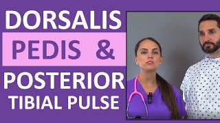 Dorsalis Pedis and Posterior Tibial Pulse Point Nursing Assessment [upl. by Aicilet737]