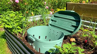 Worm Composting In Raised Garden Beds  Red Wiggler Worms for Composting In Beds  Worm Bin [upl. by Hadden]