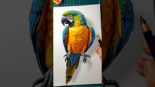 Americans Got Talent Well the parrot is too realistic [upl. by Ahsimik860]